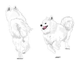 SAMOYED LOVE 2 sticker #14955349