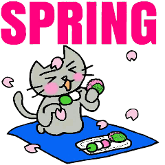 Spring of Nekokun