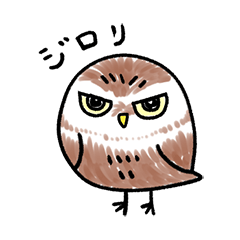 RoundOwlSticker