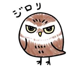 RoundOwlSticker sticker #14957846