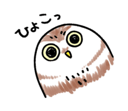 RoundOwlSticker sticker #14957849