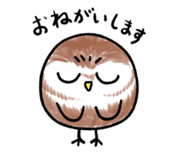 RoundOwlSticker sticker #14957856