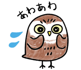 RoundOwlSticker sticker #14957858