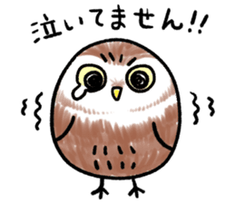 RoundOwlSticker sticker #14957860