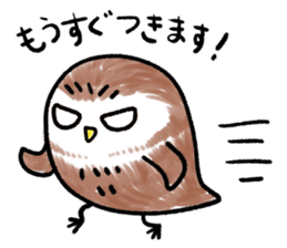 RoundOwlSticker sticker #14957862