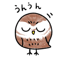 RoundOwlSticker sticker #14957867