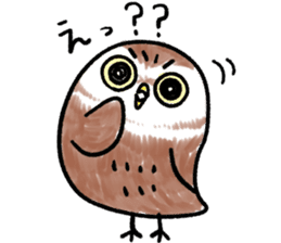 RoundOwlSticker sticker #14957868
