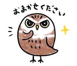 RoundOwlSticker sticker #14957869