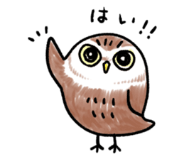 RoundOwlSticker sticker #14957871