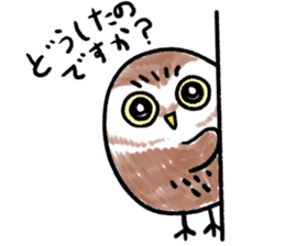 RoundOwlSticker sticker #14957873