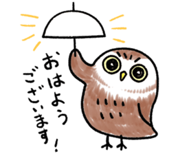 RoundOwlSticker sticker #14957875