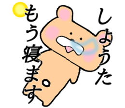 My name is Shota sticker #14959141