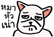 Funny Animal [TH] sticker #14962115