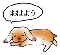 sleep rabbit sticker #14962654