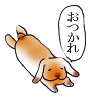 sleep rabbit sticker #14962655
