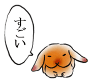 sleep rabbit sticker #14962670