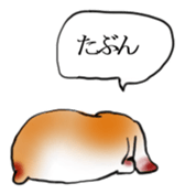 sleep rabbit sticker #14962671