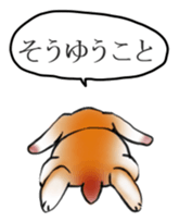 sleep rabbit sticker #14962677