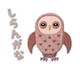Owl appliques sticker #14964804