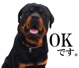 Rottweiler's Kellio sticker #14965384