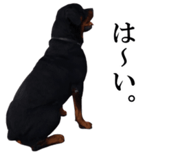 Rottweiler's Kellio sticker #14965389