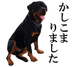 Rottweiler's Kellio sticker #14965392