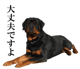 Rottweiler's Kellio sticker #14965396