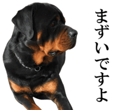 Rottweiler's Kellio sticker #14965397