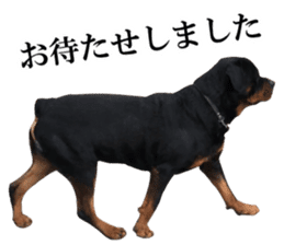 Rottweiler's Kellio sticker #14965404