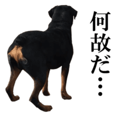 Rottweiler's Kellio sticker #14965408