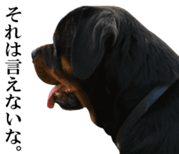 Rottweiler's Kellio sticker #14965409