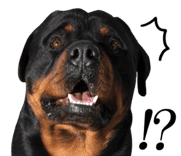 Rottweiler's Kellio sticker #14965410