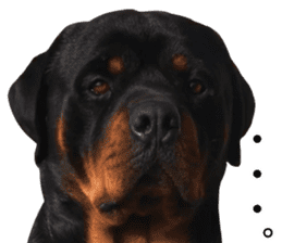 Rottweiler's Kellio sticker #14965413