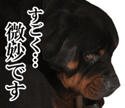 Rottweiler's Kellio sticker #14965417