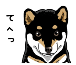 Daily Black Shiba Inu 6 sticker #14966326