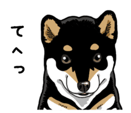 Daily Black Shiba Inu 6 sticker #14966326