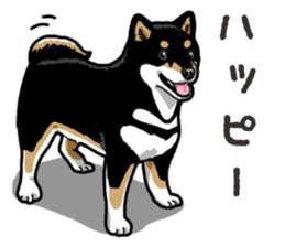 Daily Black Shiba Inu 6 sticker #14966329