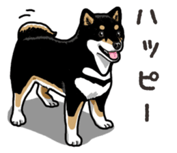 Daily Black Shiba Inu 6 sticker #14966329