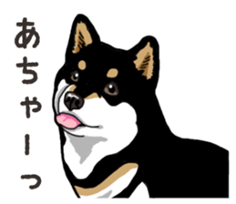 Daily Black Shiba Inu 6 sticker #14966333