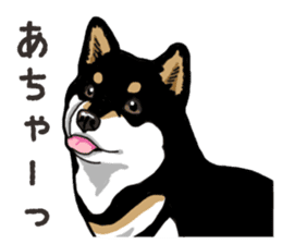 Daily Black Shiba Inu 6 sticker #14966333