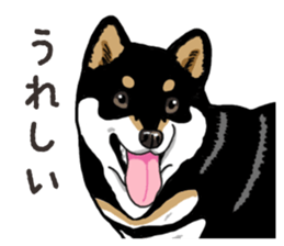 Daily Black Shiba Inu 6 sticker #14966335