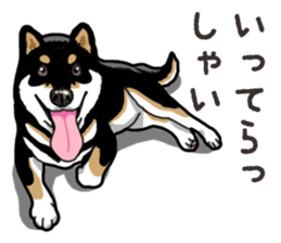 Daily Black Shiba Inu 6 sticker #14966337