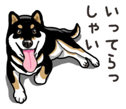 Daily Black Shiba Inu 6 sticker #14966337