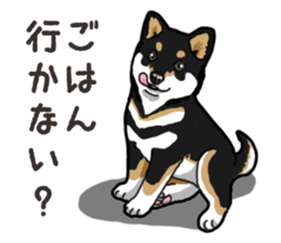 Daily Black Shiba Inu 6 sticker #14966339