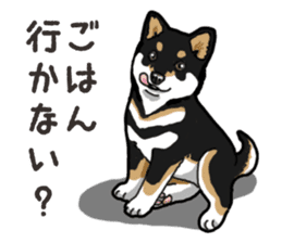 Daily Black Shiba Inu 6 sticker #14966339