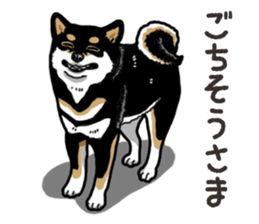 Daily Black Shiba Inu 6 sticker #14966340