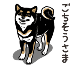 Daily Black Shiba Inu 6 sticker #14966340