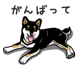 Daily Black Shiba Inu 6 sticker #14966341