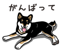 Daily Black Shiba Inu 6 sticker #14966341