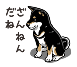 Daily Black Shiba Inu 6 sticker #14966343